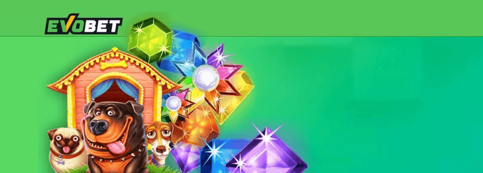 Evobet Casino