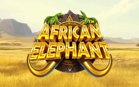 Machine a sous African Elephant