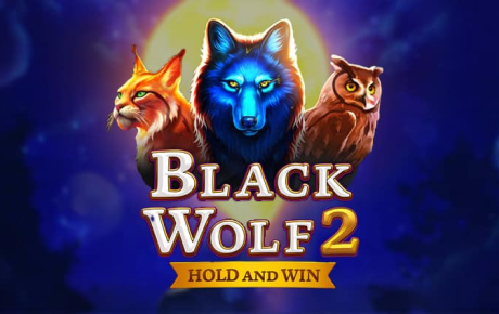Machine à sous Black Wolf 2