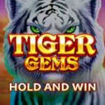 Tiger Gems Hold and Win logo