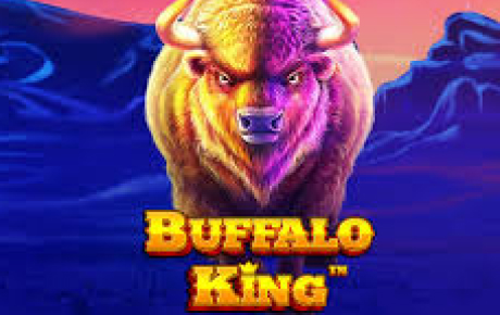 Machine à sous Buffalo King