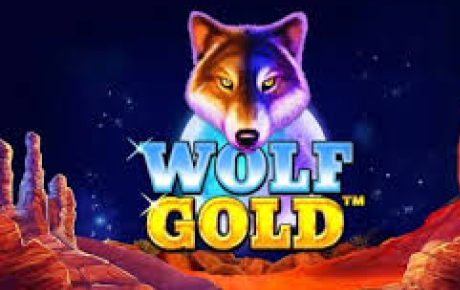 Machine à sous Wolf Gold