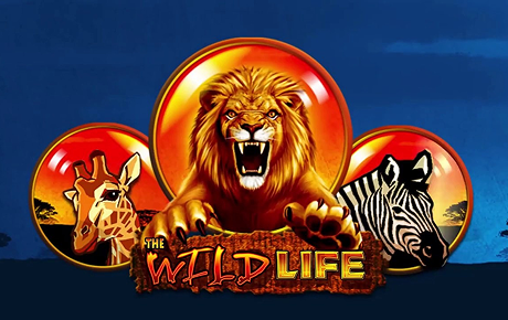 Machine à sous The Wild Life