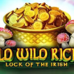 Wild Wild Riches logo