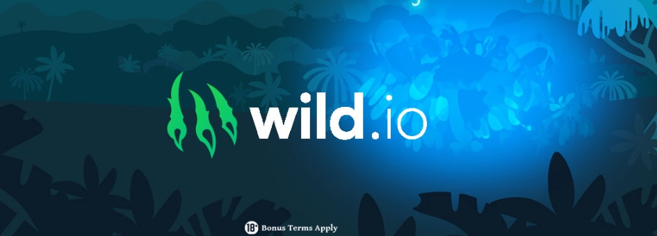 Wild.io Casino Bonus de Bienvenue