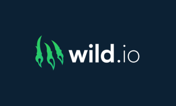 Wild.io Casino