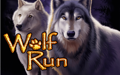 Machine à sous Wolf Run