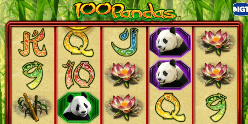 100 Pandas