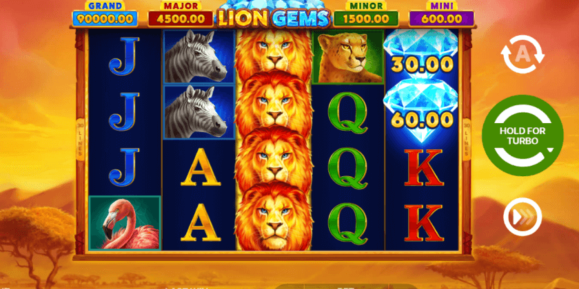 Lion Gems Hold and Win