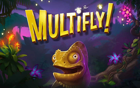 Machine à sous MultiFly
