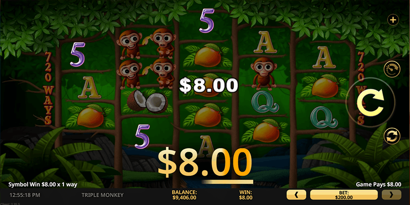 Triple Monkey