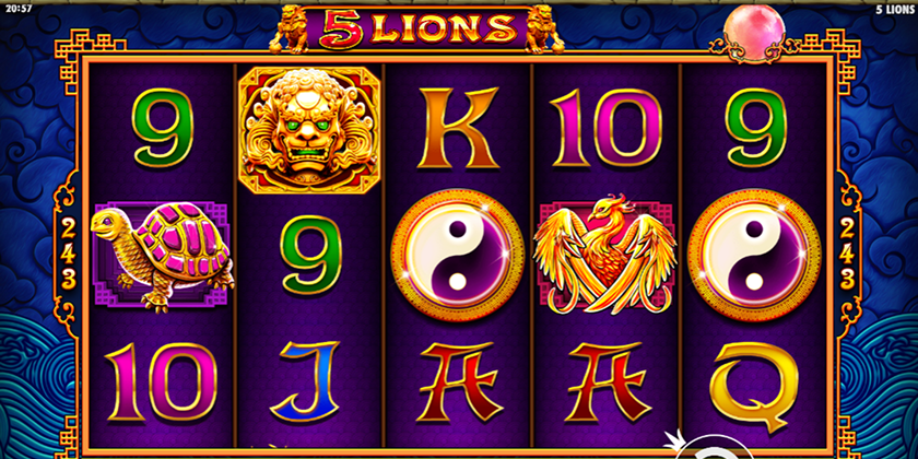 5 lions