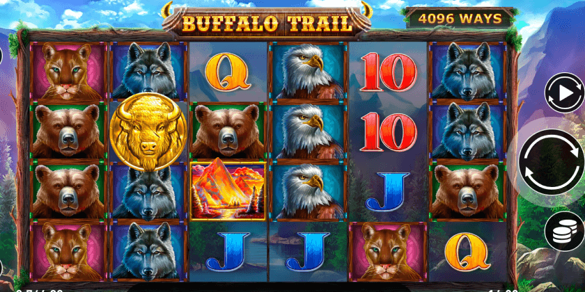 Buffalo Trail