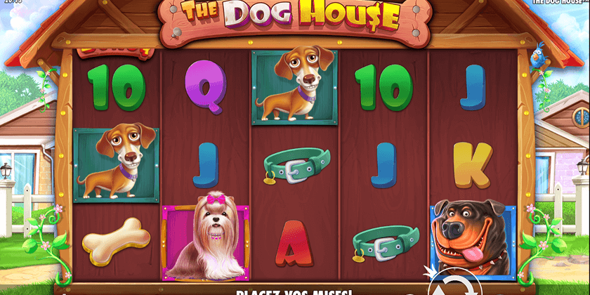The Dog House