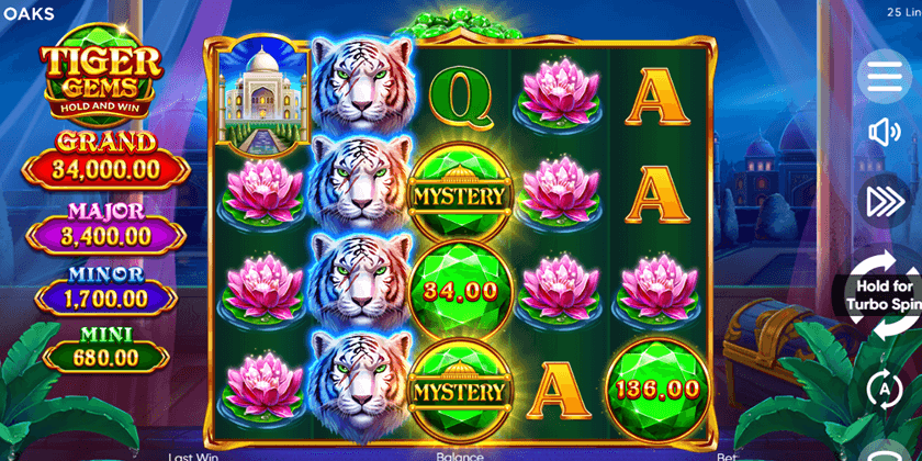 Tiger Gems Hold and Win