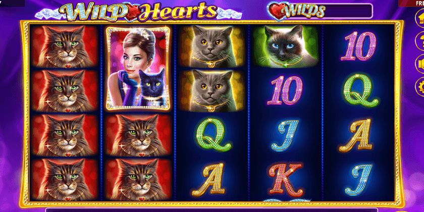 Wild Hearts