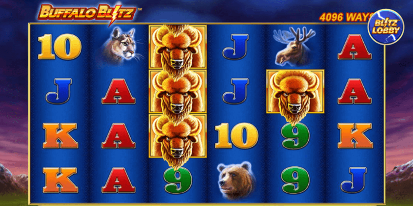 Buffalo Blitz