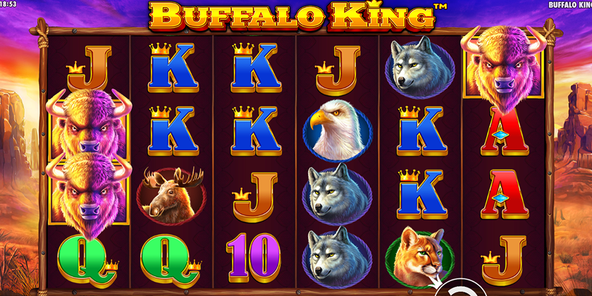 buffalo king