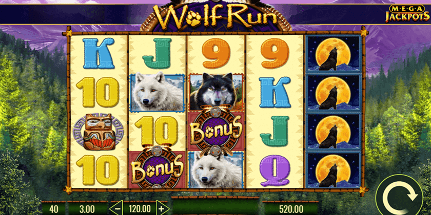 wolf run